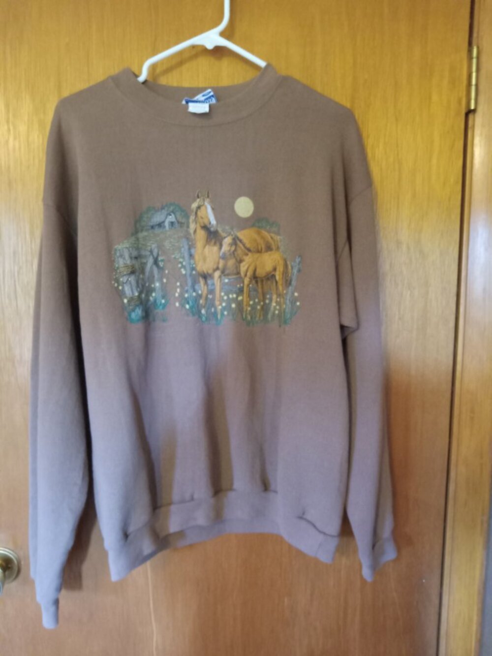 Endless designs brown horse sweatshirt